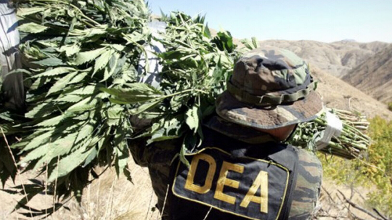 Deadliest drugs are still legal in the US as pot prohibition continues
